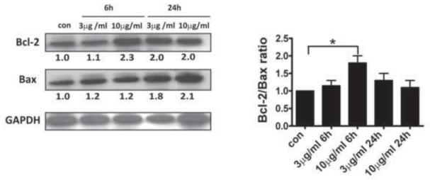 Fig.4