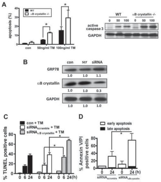 Fig.7