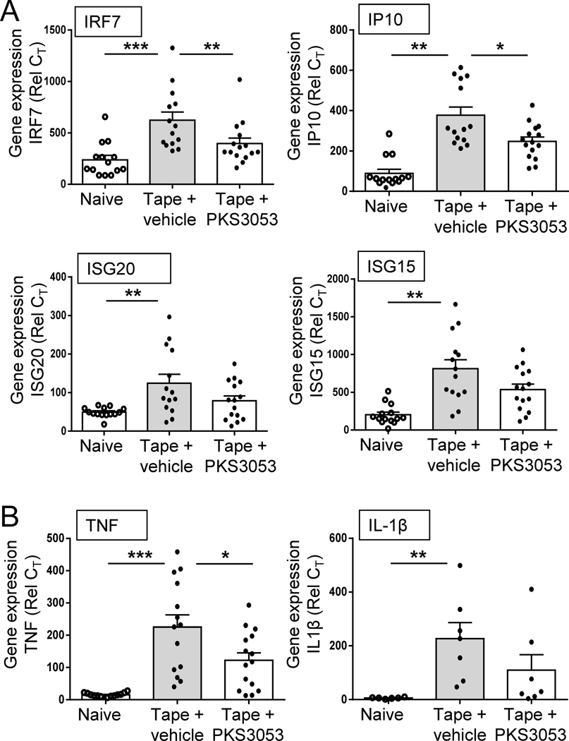 Figure 6: