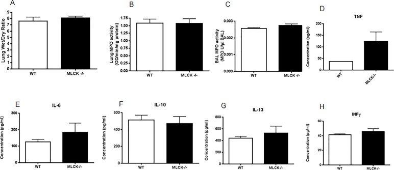 Figure 6.