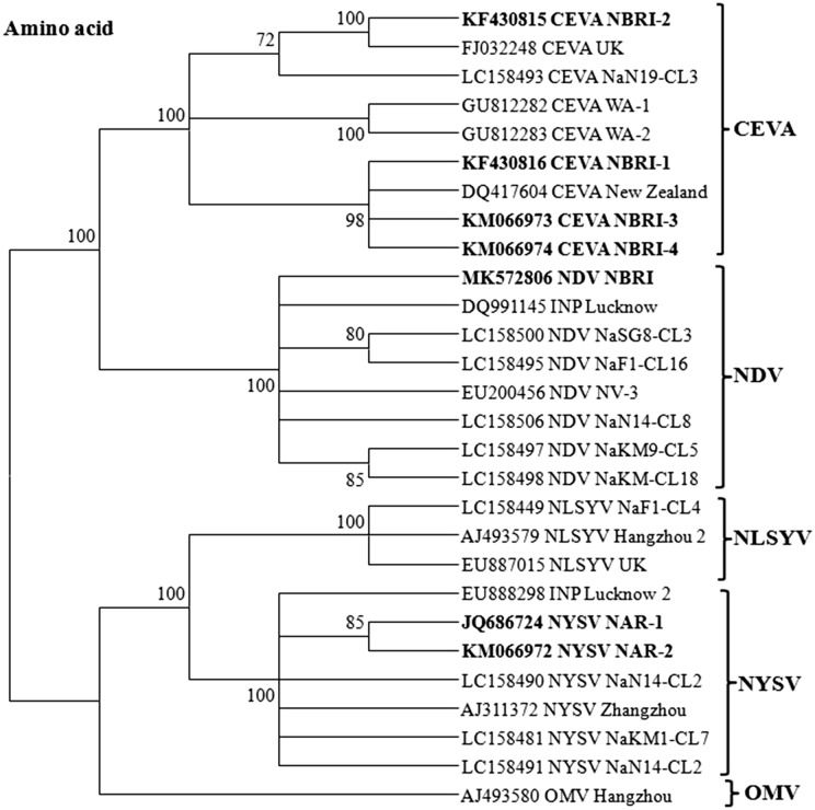 Fig. 3