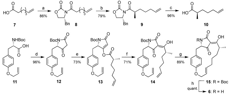 Scheme 1