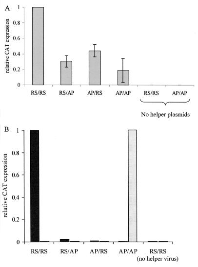 FIG. 6