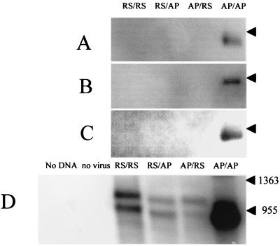 FIG. 7