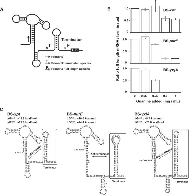 Figure 5.