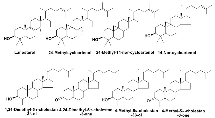 Figure 12