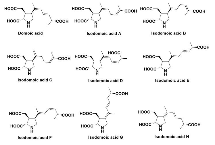 Figure 19