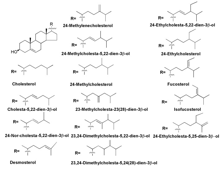 Figure 11