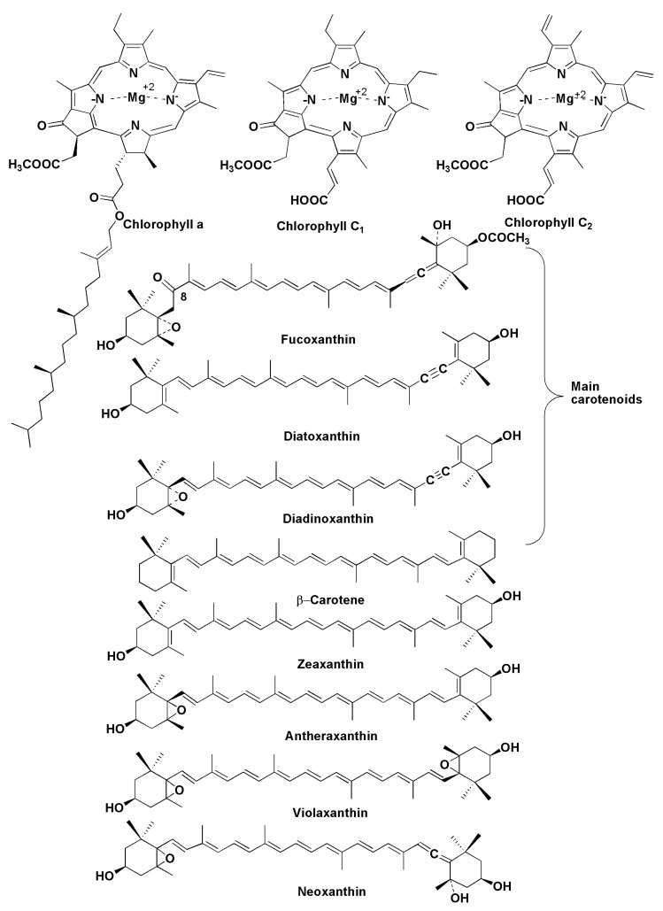 Figure 16