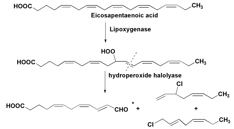 Figure 18