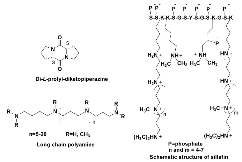 Figure 20