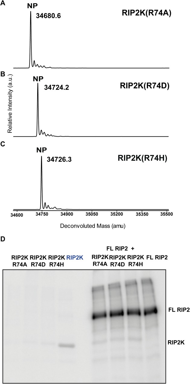 Fig 7