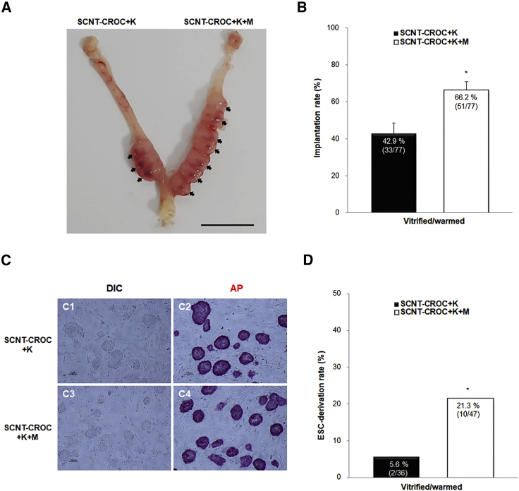 Figure 4