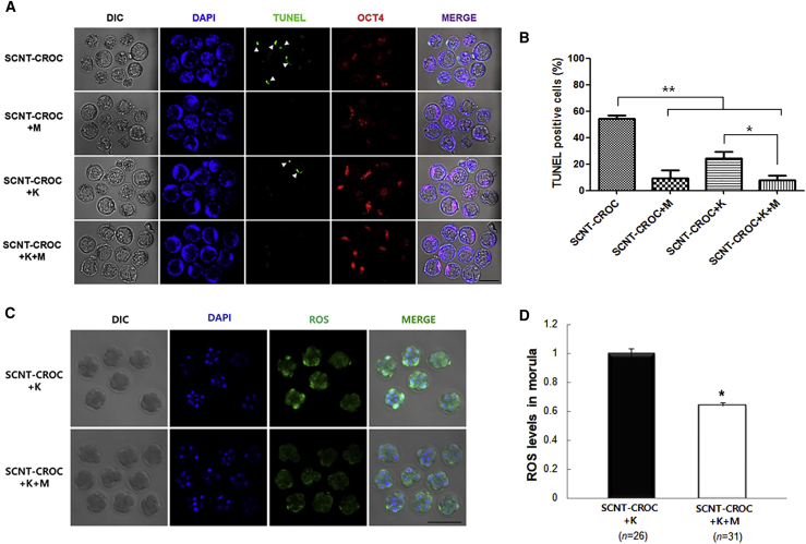 Figure 3