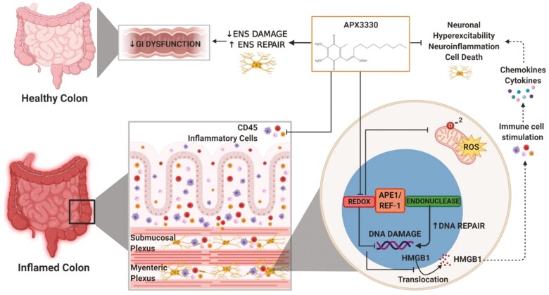 Graphical Abstract