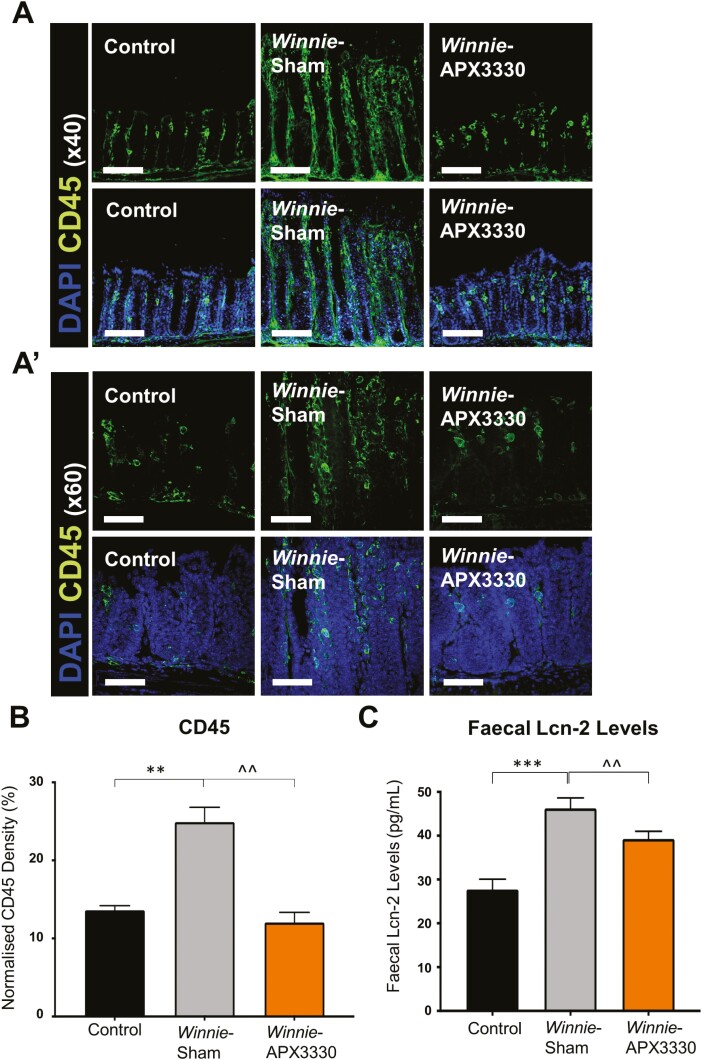 FIGURE 2.