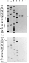 FIG. 6