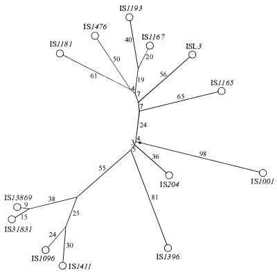FIG. 3