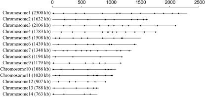 Figure 1.—