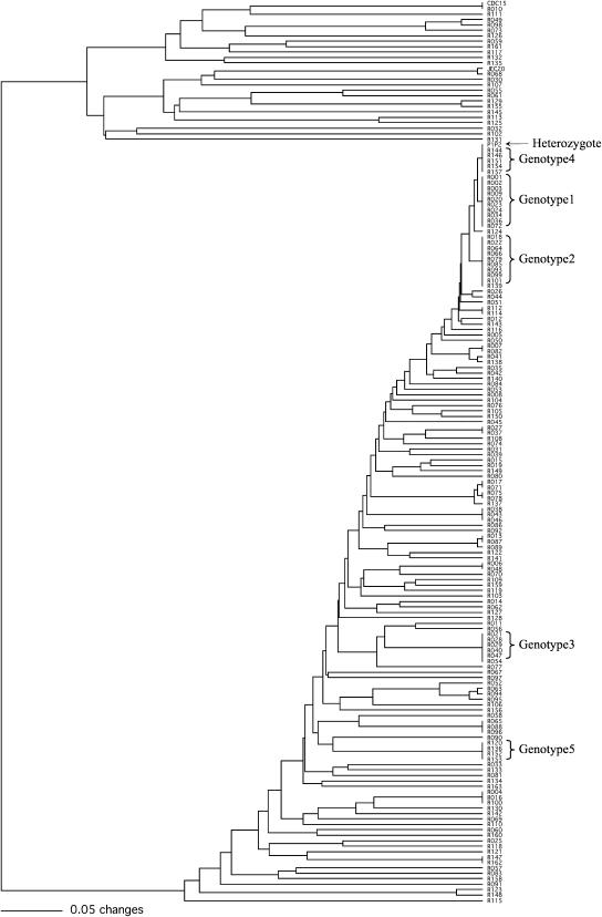 Figure 2.—