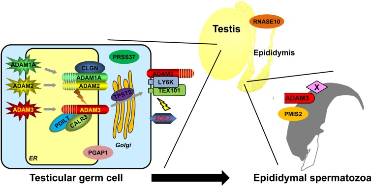 Fig. 2.