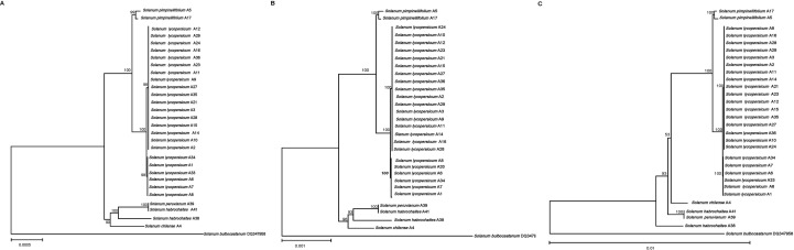 Figure 5