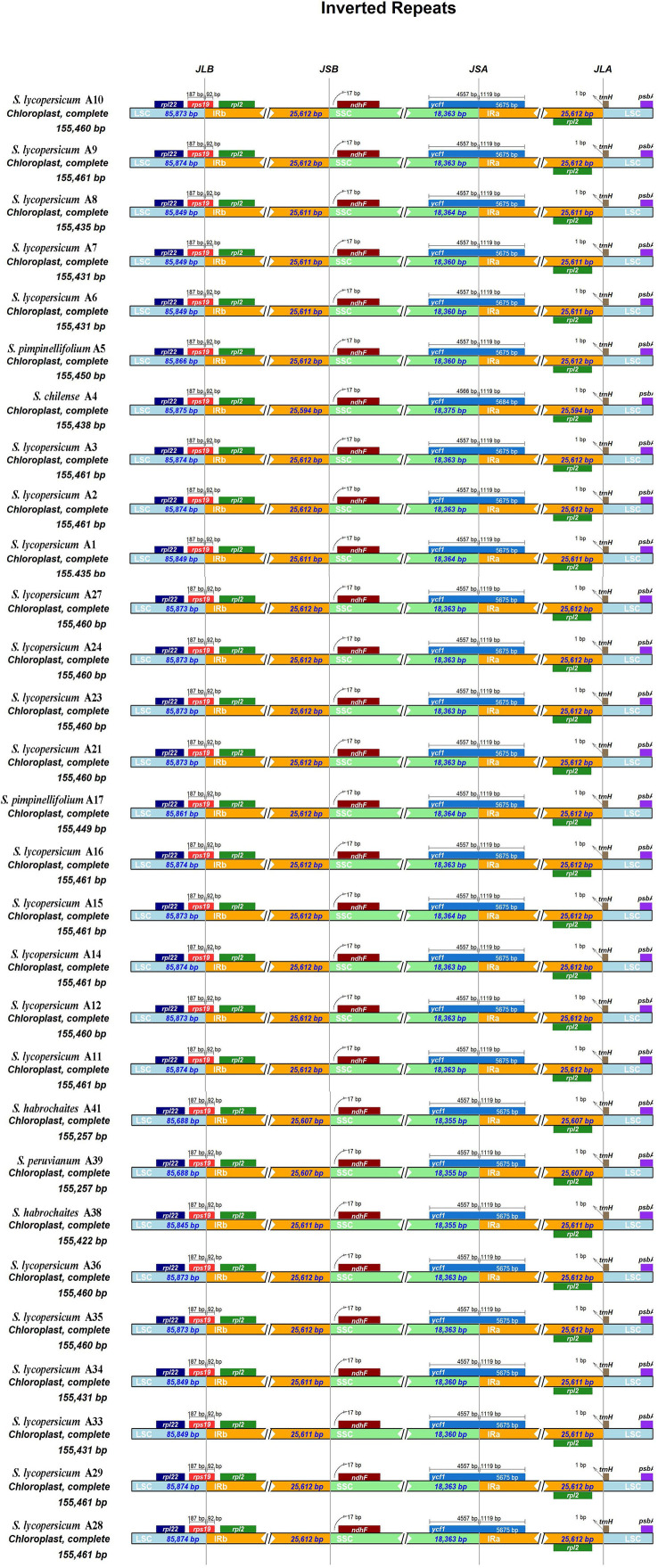 Figure 2