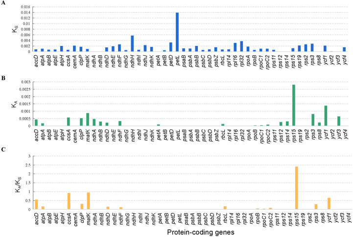 Figure 6