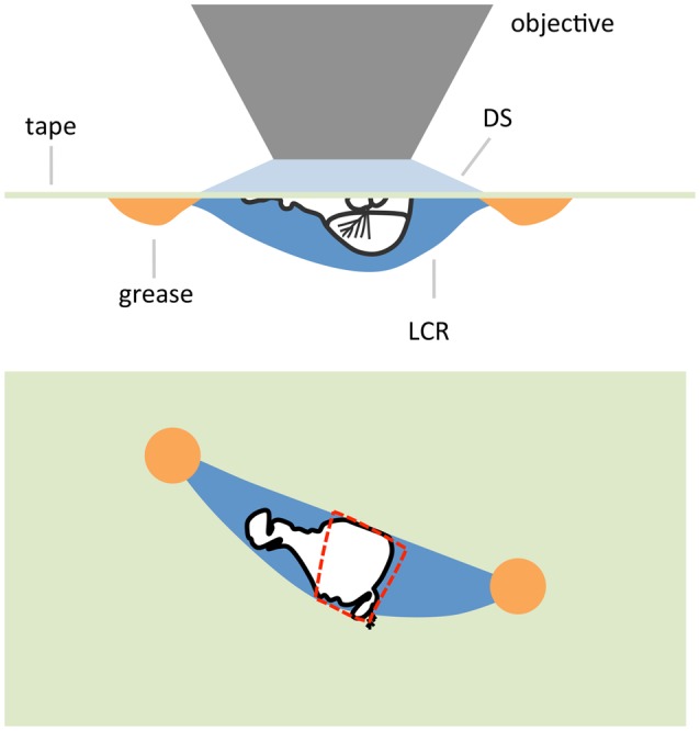 Figure 9