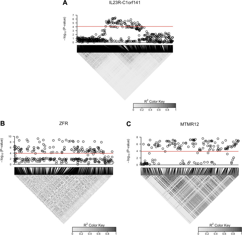 Fig. 3