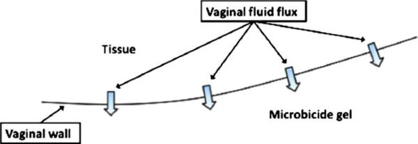 Fig. 14