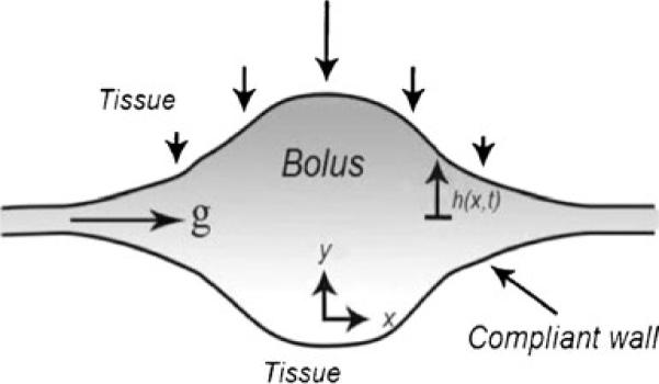 Fig. 10