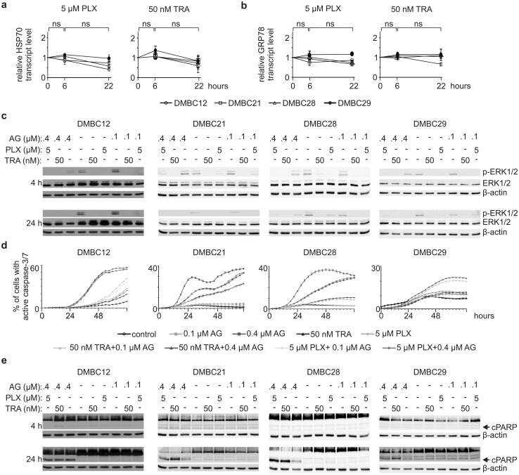 Fig. 4