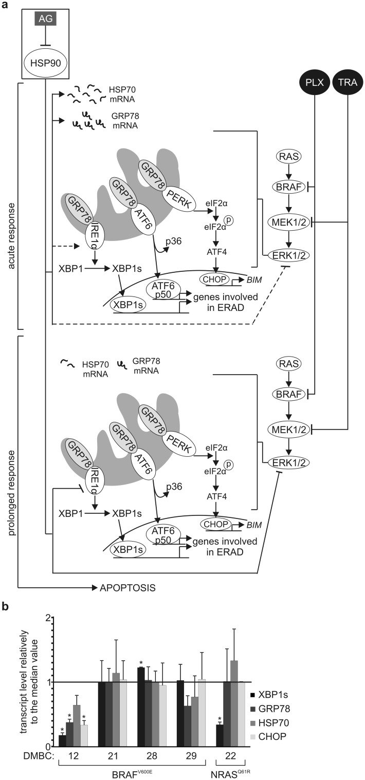 Fig. 6