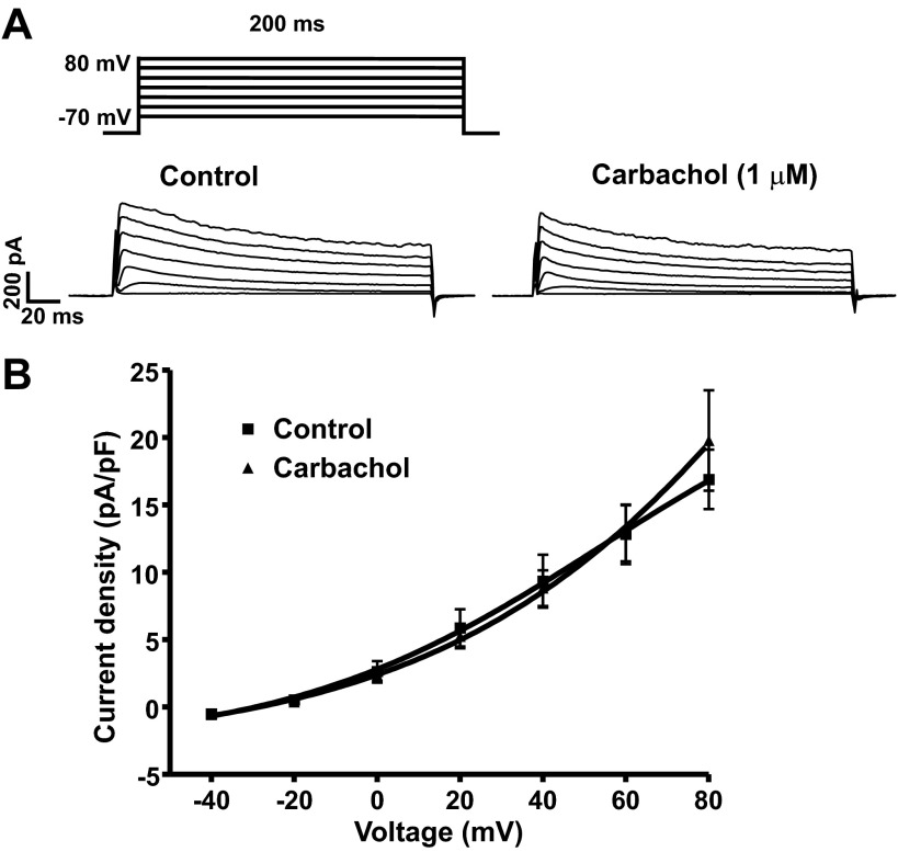 Fig. 7.