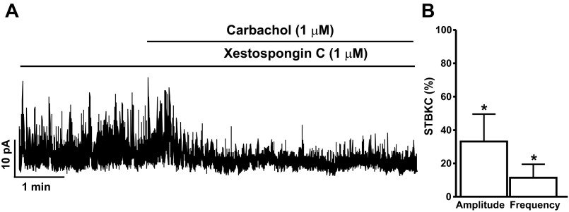 Fig. 6.