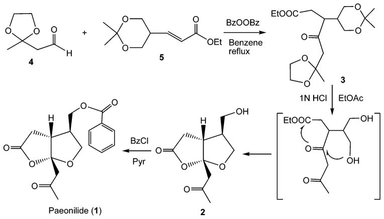 Scheme 3