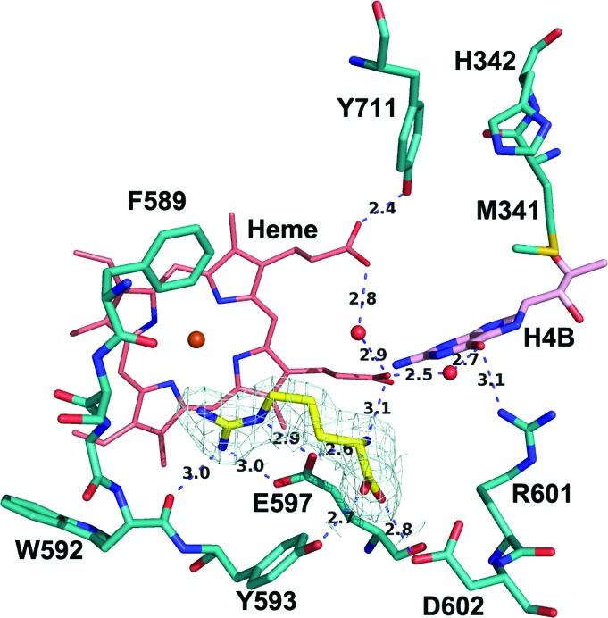 Figure 5