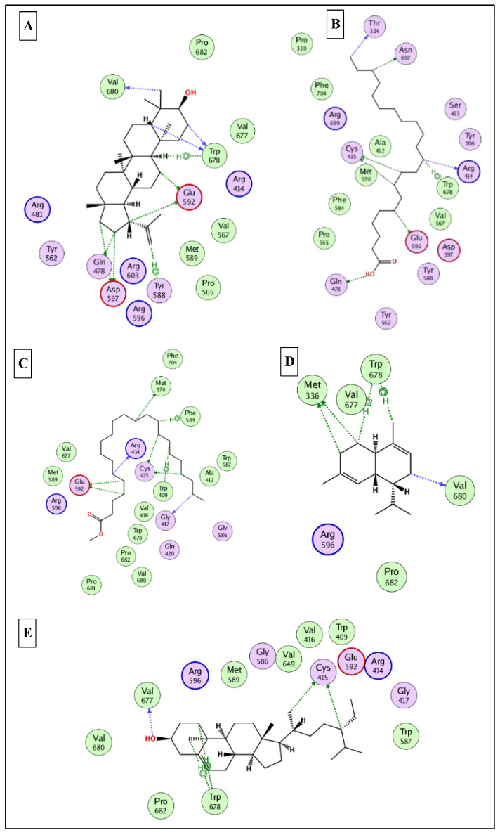 Figure 9