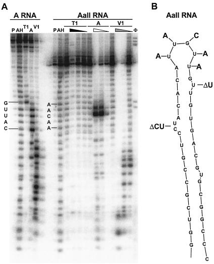 FIG. 7.