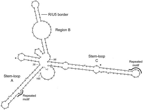 FIG. 2.