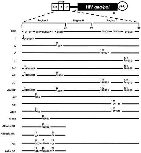 FIG. 5.