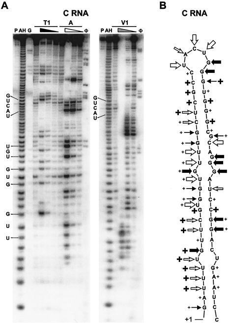 FIG. 4.