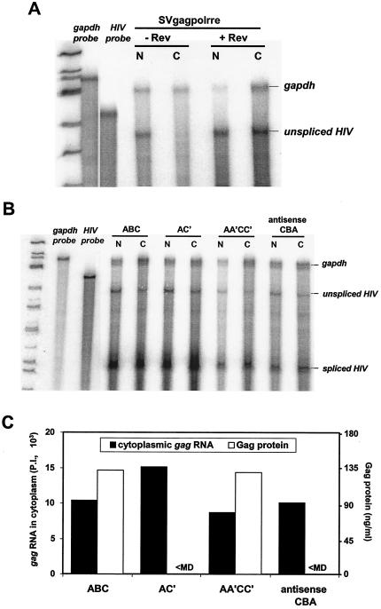 FIG. 9.