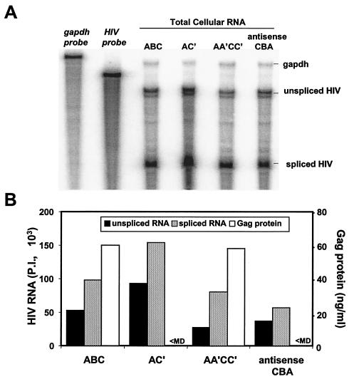 FIG. 8.