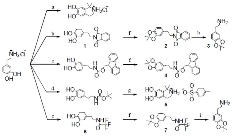 Scheme 1