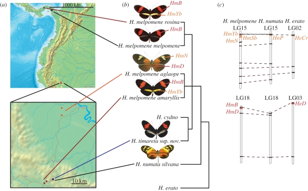 Figure 1.