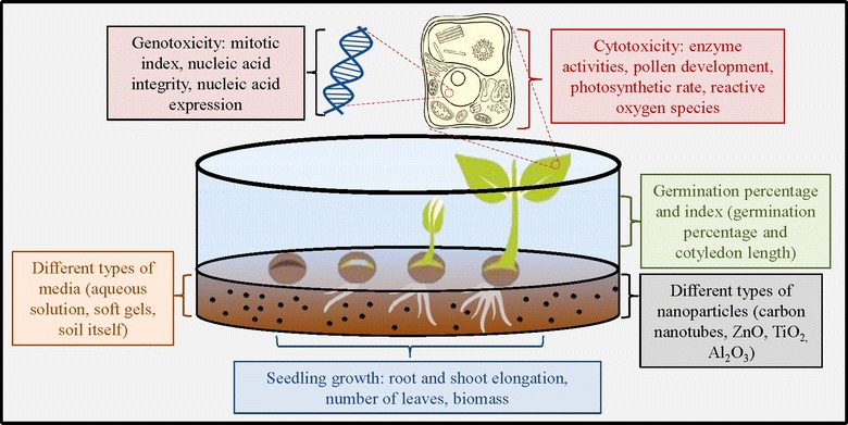 Fig. 2