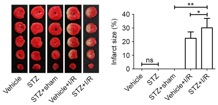 Figure 2.