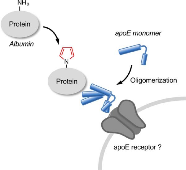 Figure 10.